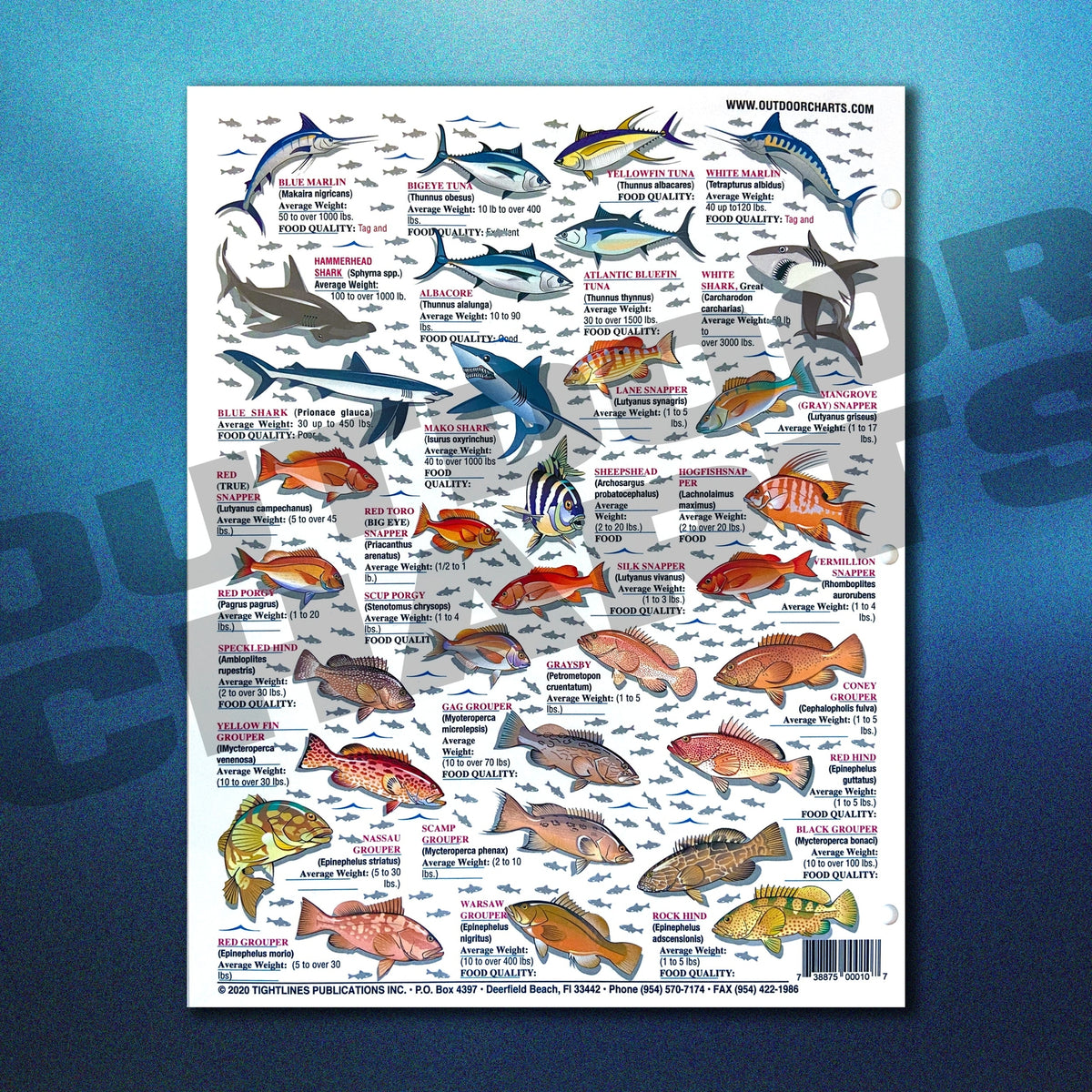 Saltwater Fish Identification Chart Waterproof Guide for Atlantic, Gulf, Bahamas