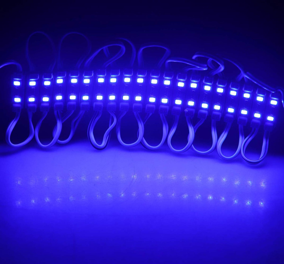 Waterproof 12V 2 LED Module Blue for Sign Advertising 200pcs