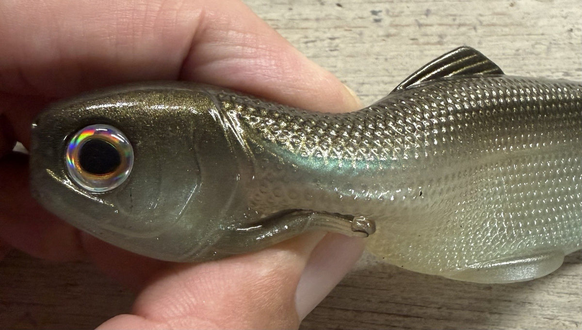 6-Inch Weedless Swimbait - Green Gizzard Shad Fishing Lure Lot