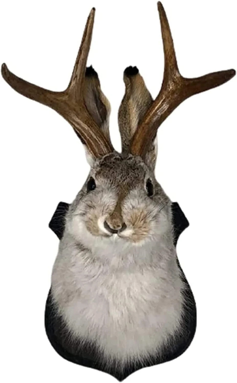 Jackalope Wall Mount Decor - Whimsical Animal Head Wall Art