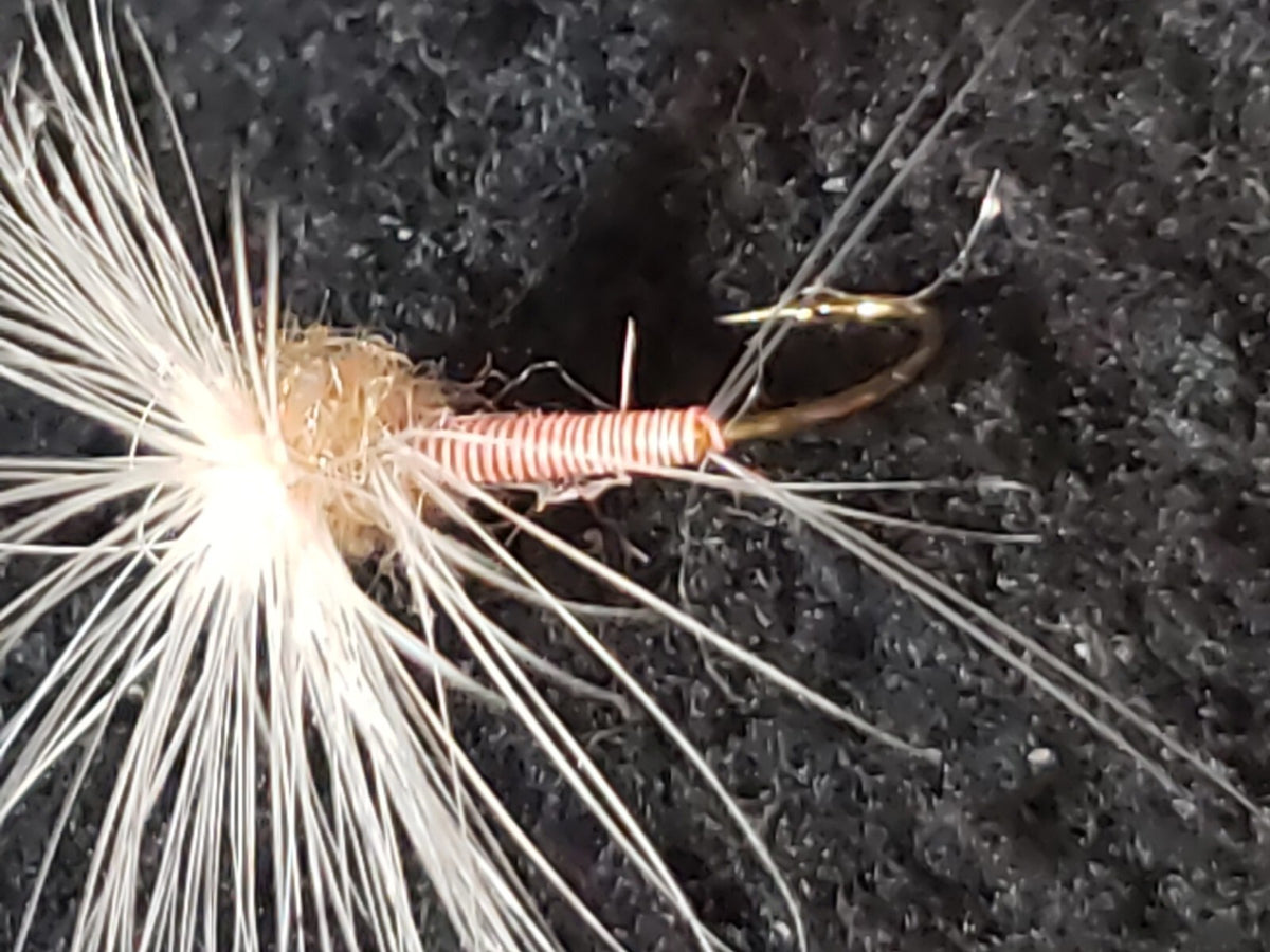 Fly Fishing Flies - Pale Morning Dun Size 22 Hackle Stackers - Frontiers
