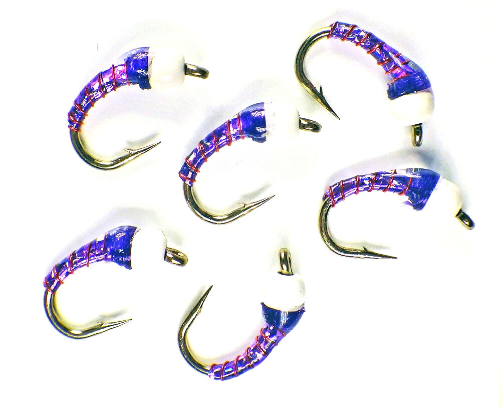 Premium Trout Fly Fishing Flies - Chironomid Holo Purple Nymphs Set