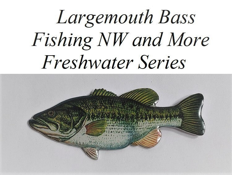 Brown Trout Fish Pin - Outdoor Wildlife Lapel & Hat Badge