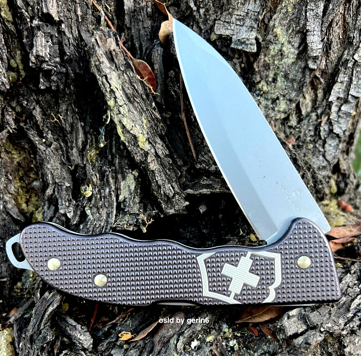 Victorinox Swiss Army Hunter Pro Limited Edition Knife Thunder Gray 2022