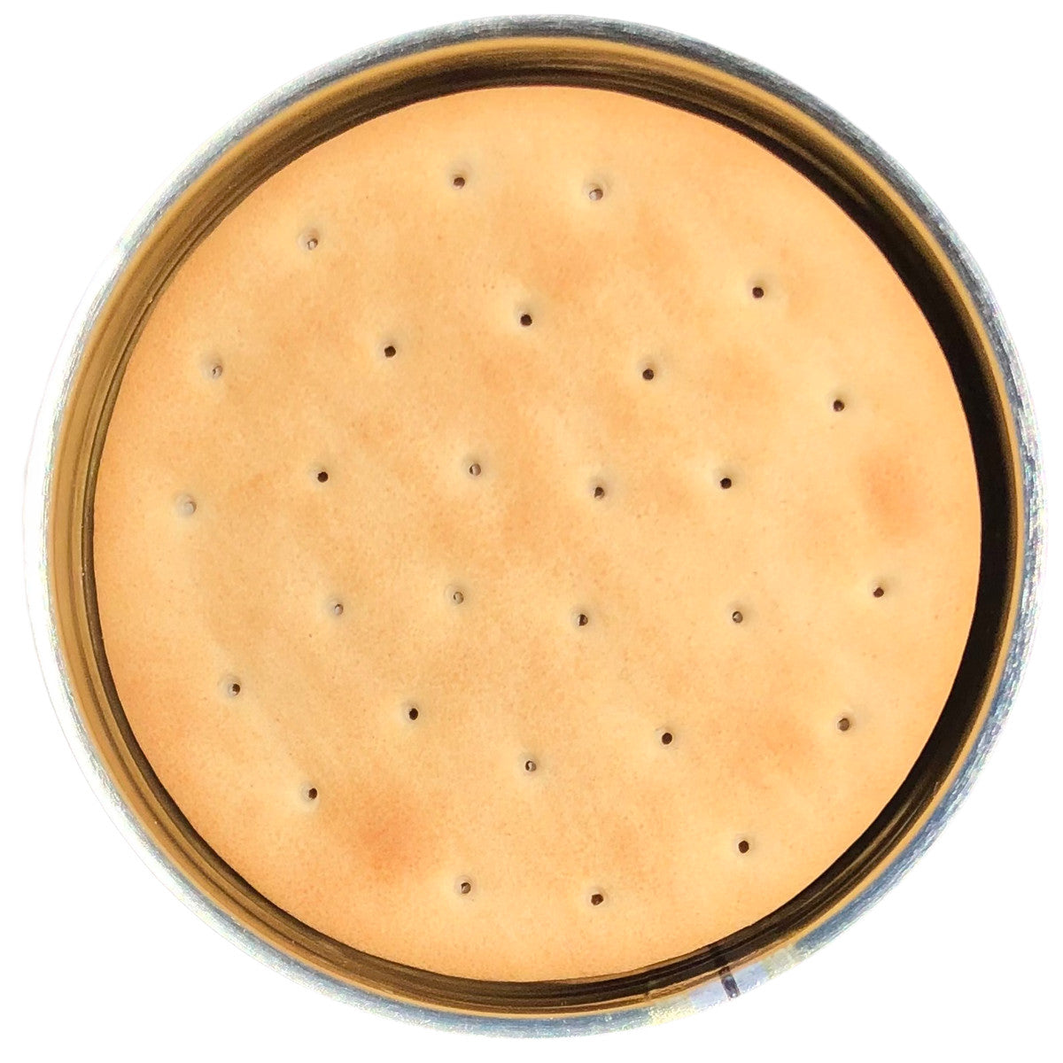 Canned Sailor Pilot Bread Crackers - Long Shelf Life, Emergency Food Supply
