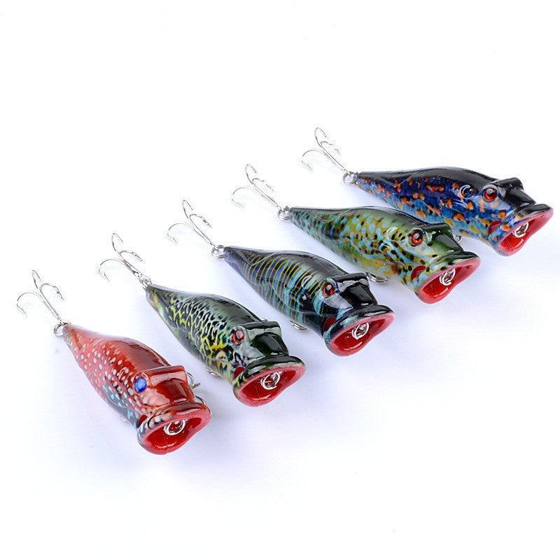 Fishing Lures Set 5 Pcs Topwater Crankbaits with 3D Eyes for Bass Trout
